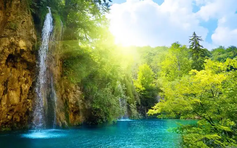 u=2802588224,1523792589&fm=253&fmt=auto&app=138&f=JPEG.webp